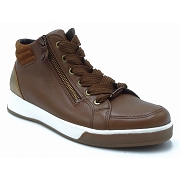 ARA 1244499<br>MARRON