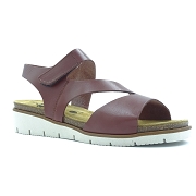 PLAKTON DINA 156213<br>MARRON