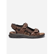 TBS JOHALIN<br>MARRON