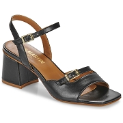  DIANE<br>NOIR 