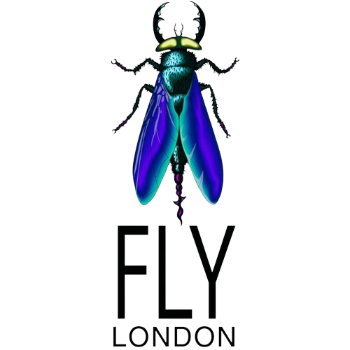 FLYLONDON