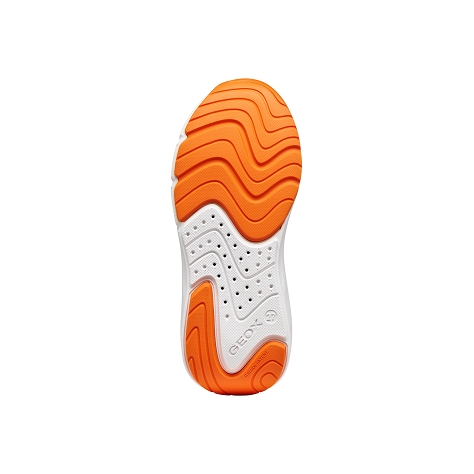 Geox basket mode my proran j65p7f yl bleu9569201_6